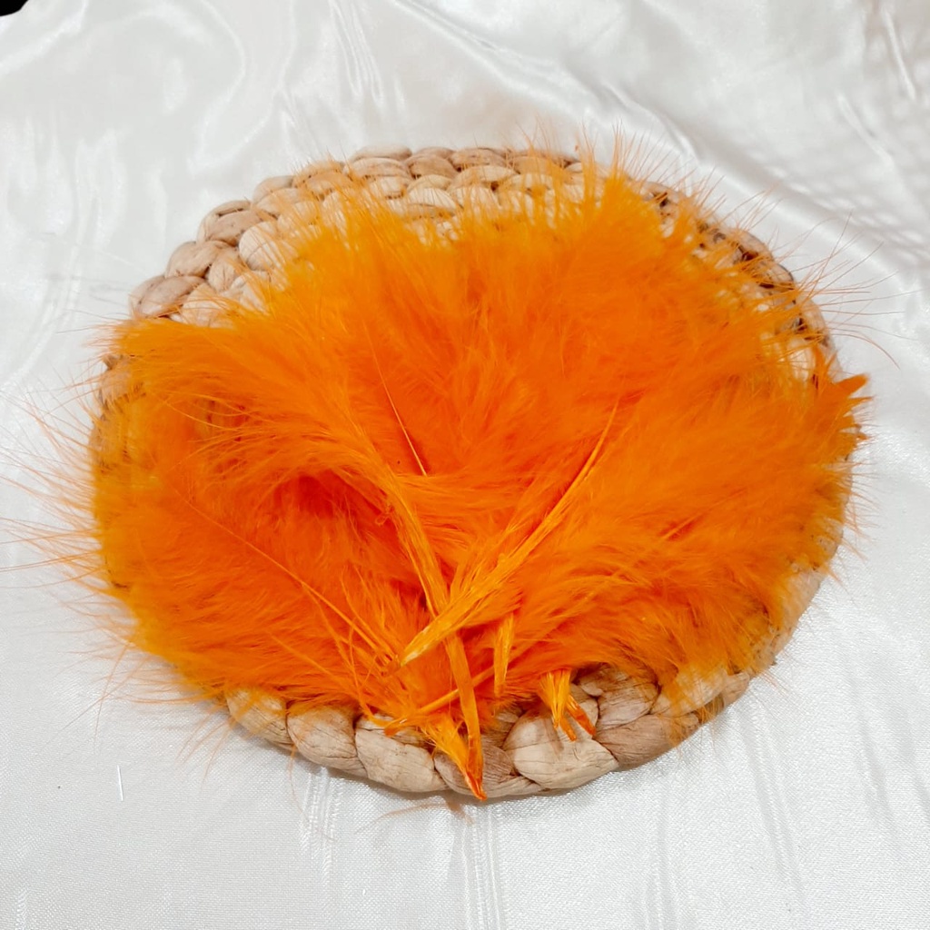 Bulu ayam warna warni/ bulu warna / bulu burung hias