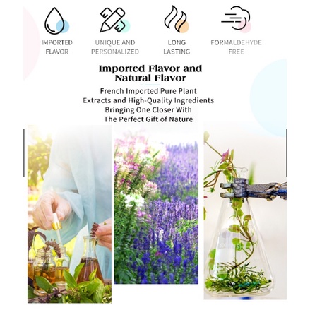 Essential Oil Aromatherapy Diffuser Pengharum Ruangan Fragrance Oil Pewangi Aroma Ruang Humidifier Minyak Wangi Pengharum Ruangan Humidifier Reed Difuser Uap-Oil ( RANDOM )