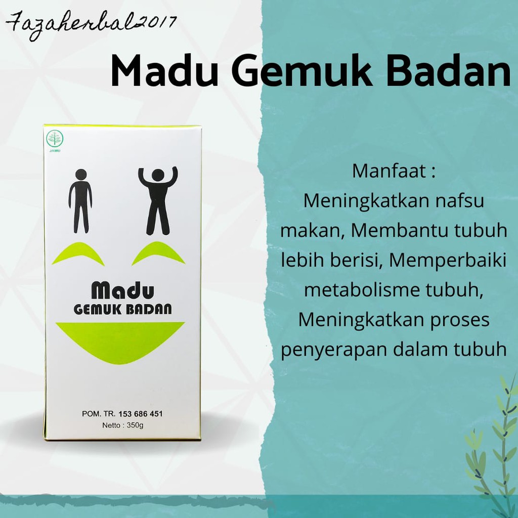 Madu Gemuk Badan