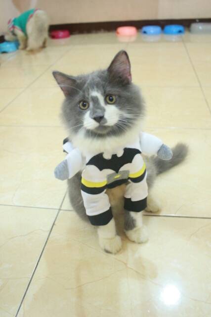 Kostum White batman untuk kucing dan anjing size S M L XL (baju kucing murah meriah)