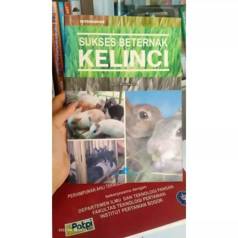 Sukses Beternak Kelinci