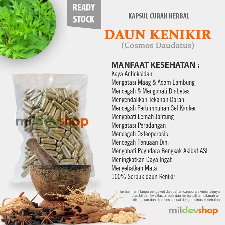 DAUN KENIKIR 100 Kapsul Curah Herbal 600mg Asam Lambung Antioksidan