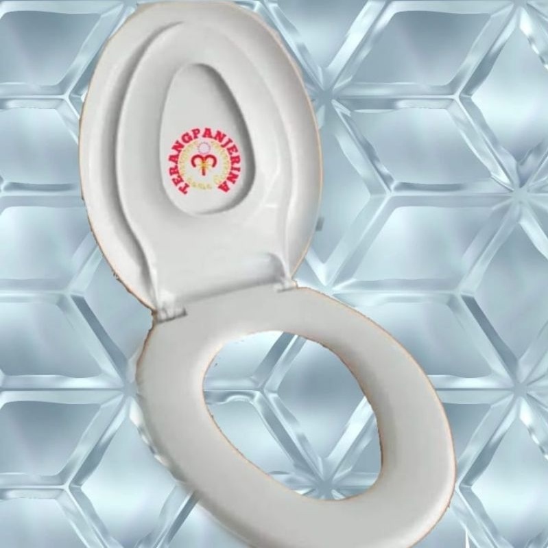 Tutup Kloset duduk techplas putih twin one sw420jp