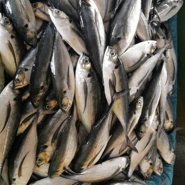 

Ikan caru segar 500 gram, sayur medan