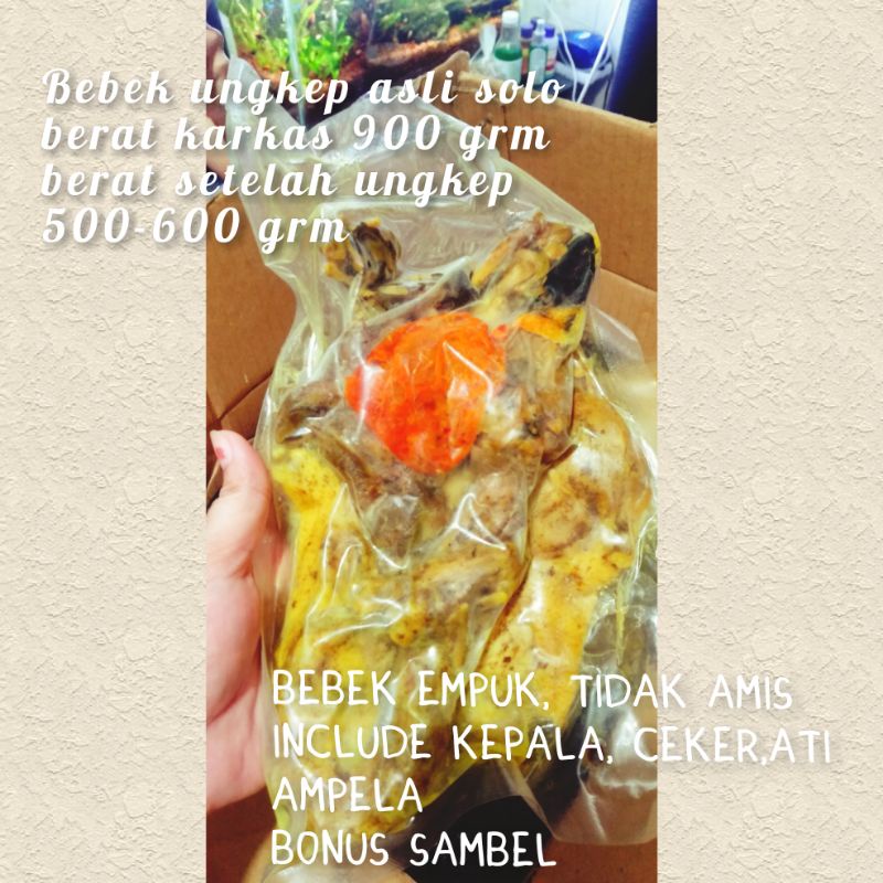 

BEBEK UNGKEP FROZEN KHAS SOLO