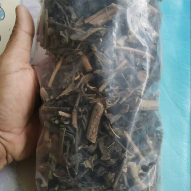 

Teh daun sidaguri siap rebus termurah