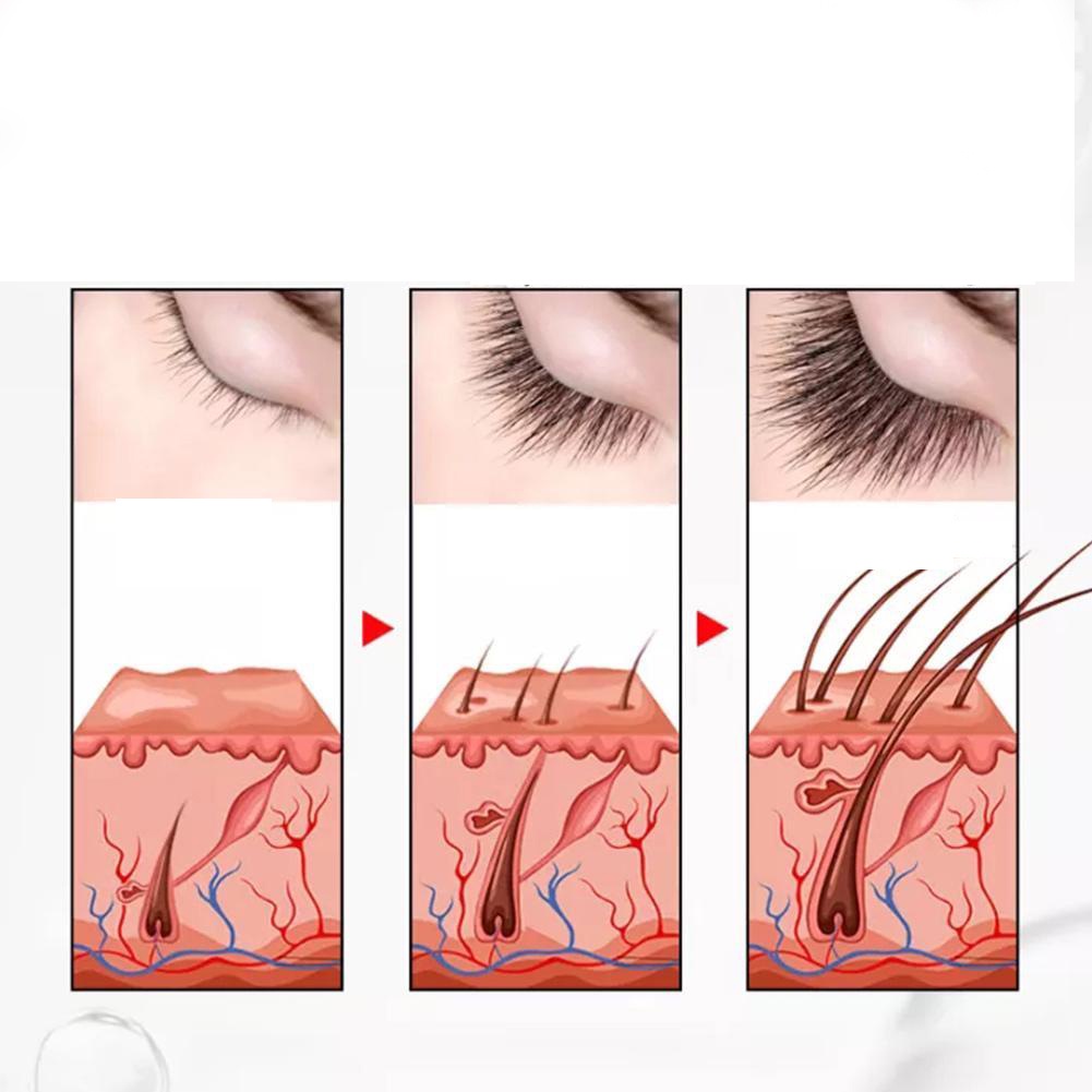 Serum bulu mata dan alis serum penumbuh bulu mata dan alis 10ml Bulu mata palsu menjadi bulu mata asli pemanjang bulu mata penebal bulu mata