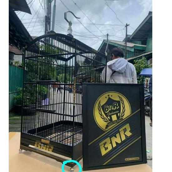 kaki karet sangkar  bening bantalan gold Rep BNR "PY.26Au22ι"