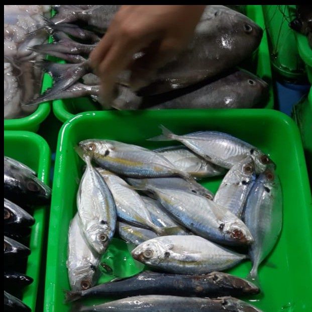 

Ikan selar 1kg (1000g)