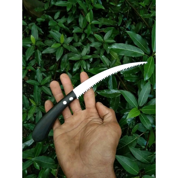 Gergaji Mini, Gergaji dahan, Gergaji Bonsai