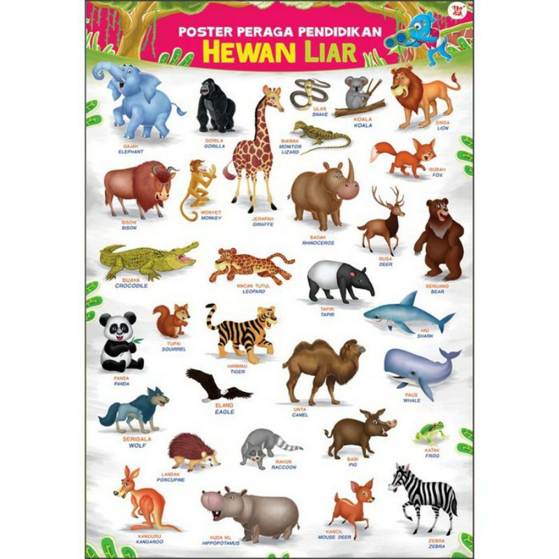 POSTER PERAGA PENDIDIKAN HEWAN LIAR
