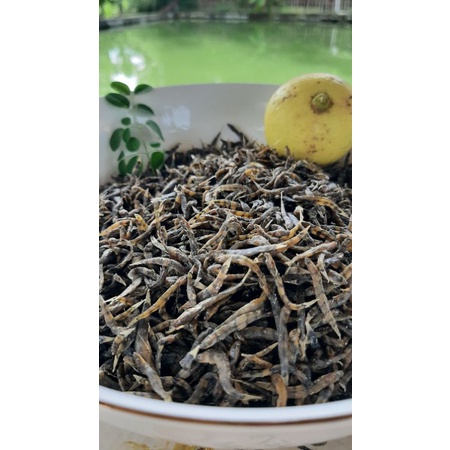 

Ikan Teri Nasi Kering/Penja/Duo/Nike