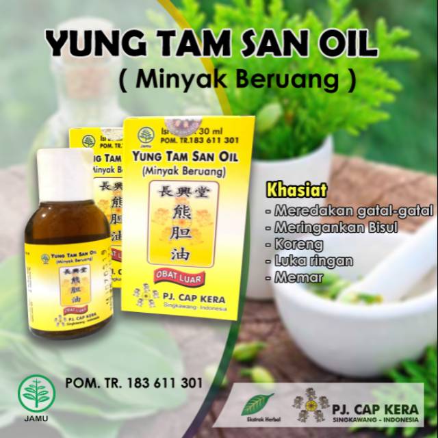 Jual Minyak Beruang Yung Tam San Oil Obat Bisul Obat Gatal Obat