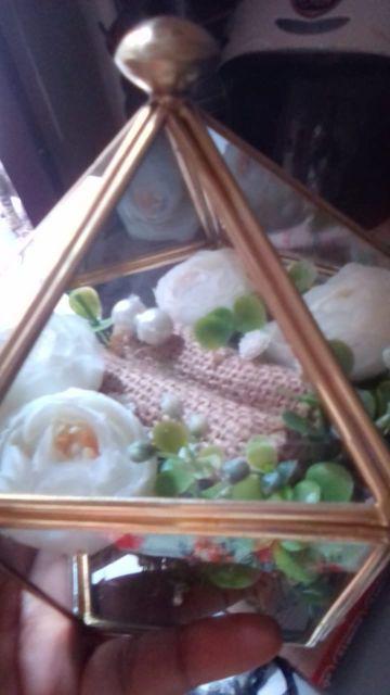Tempat Cincin Terrarium