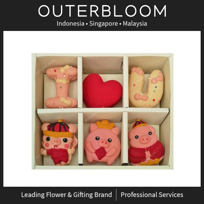 

Macaroon Box - Le Sucre I Love You Series Lunar Piglet