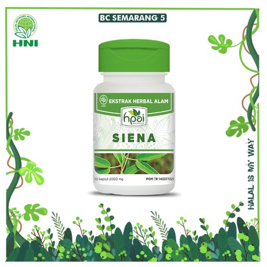 SIENA - HNI -  HPAI - OBAT MELANCARKAN BAB - LANGSING - DARAH KOTOR - KOLESTEROL - MEMBUANG RACUN