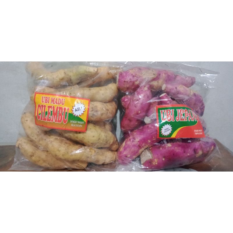 

Ubi Jepang (merah), Ubi Madu (kuning).