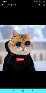 Maura Couple - Sania Ruffle Batik Couple Ori Ndoro Jowi Dnt Garansi Termurah Shopee - Sarwendah