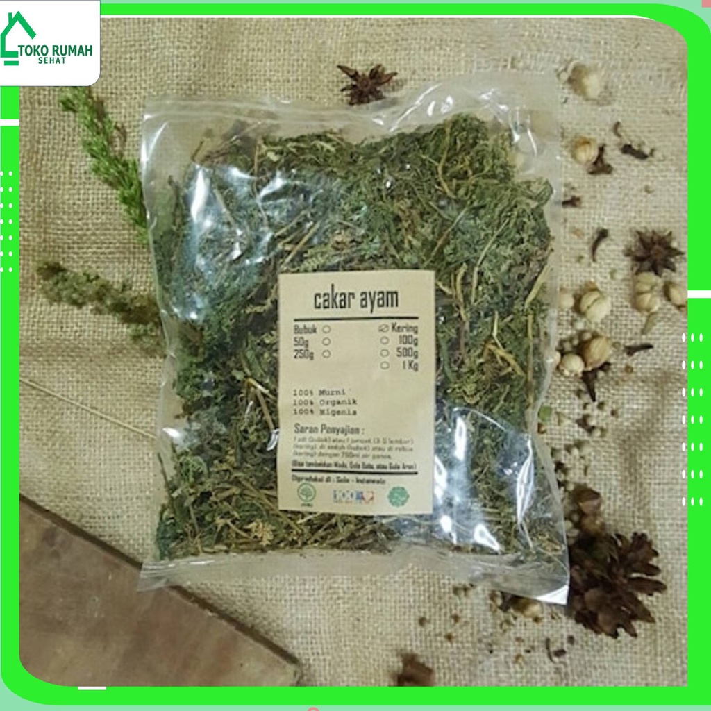 

CAKAR AYAM KERING 250 GRAM - Selaginella doederleinii - MURNI -