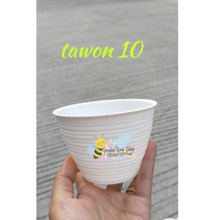 Pot tawon plastik 10 dan 12 cm Tanaman Hias bunga Kaktus Pot tawon plastik 10 dan 12 cm Tanaman Hias bunga Kaktus