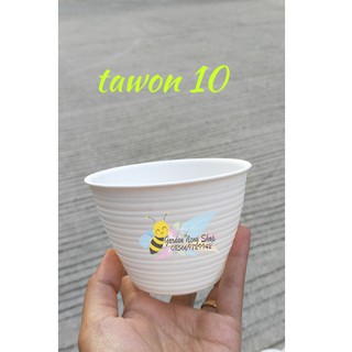  Pot  tawon  plastik 10  dan 12 cm Tanaman Hias bunga Kaktus 