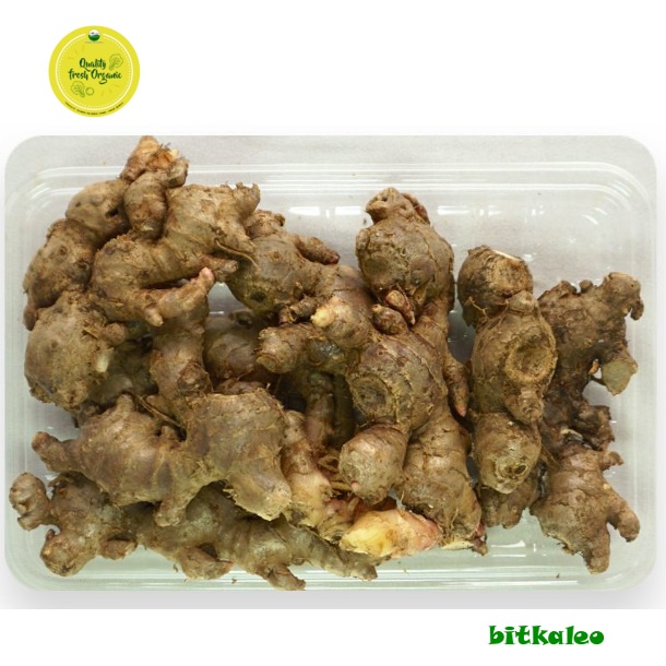 

Jahe Merah Organik 500 gr (PO)