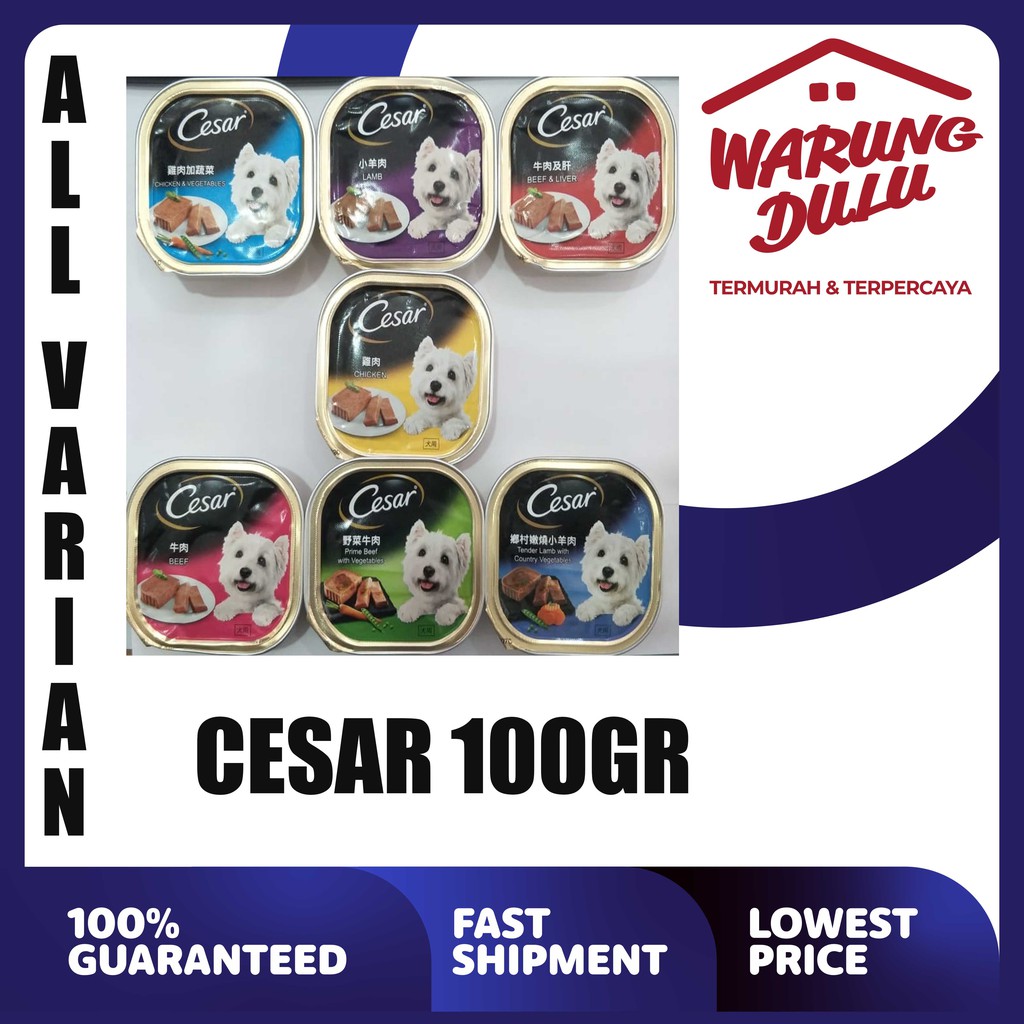 MAKANAN ANJING CESAR ALL VARIAN 100GR