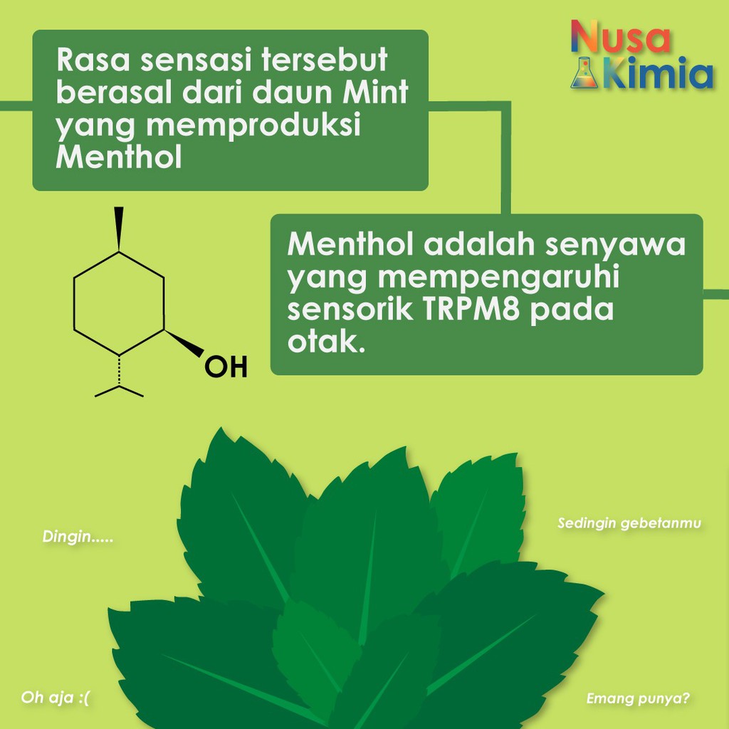 Menthol Crystal Food Grade 500 gram