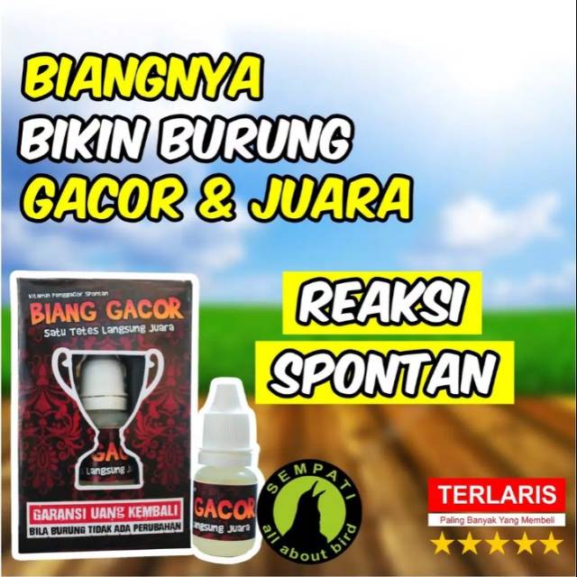 Biang Gacor