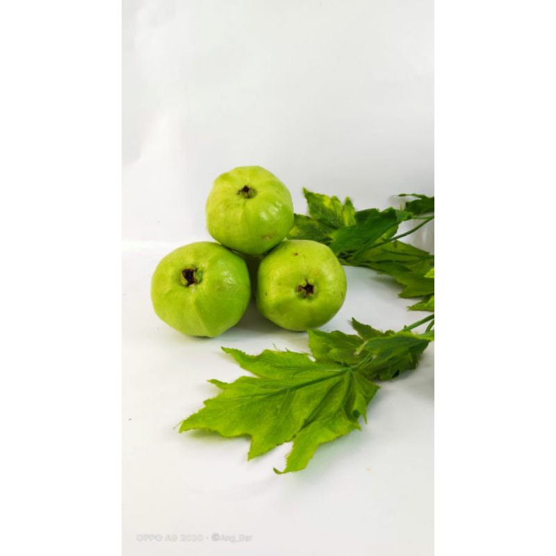 

jambukristal