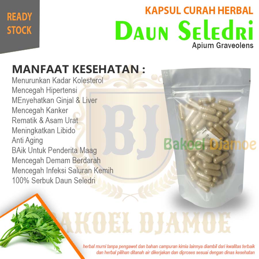 

Kapsul curah herbal daun seledri kapsul herbal kolesterol hipertensi