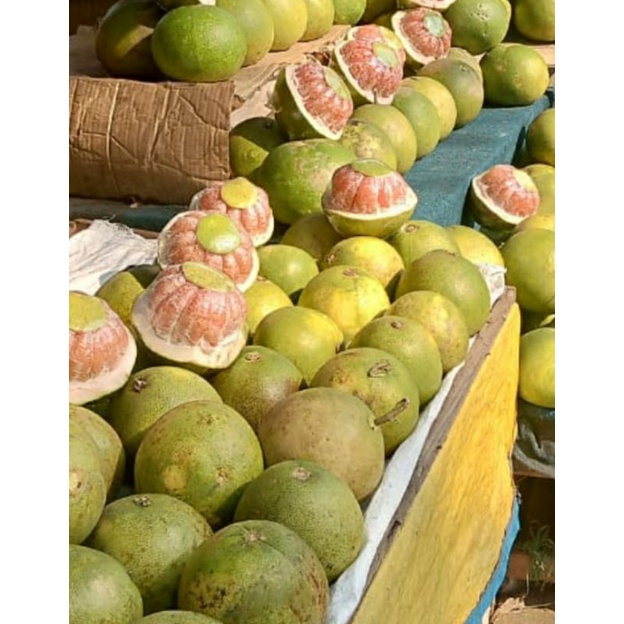 

JERUK BALLI ISI MERAH