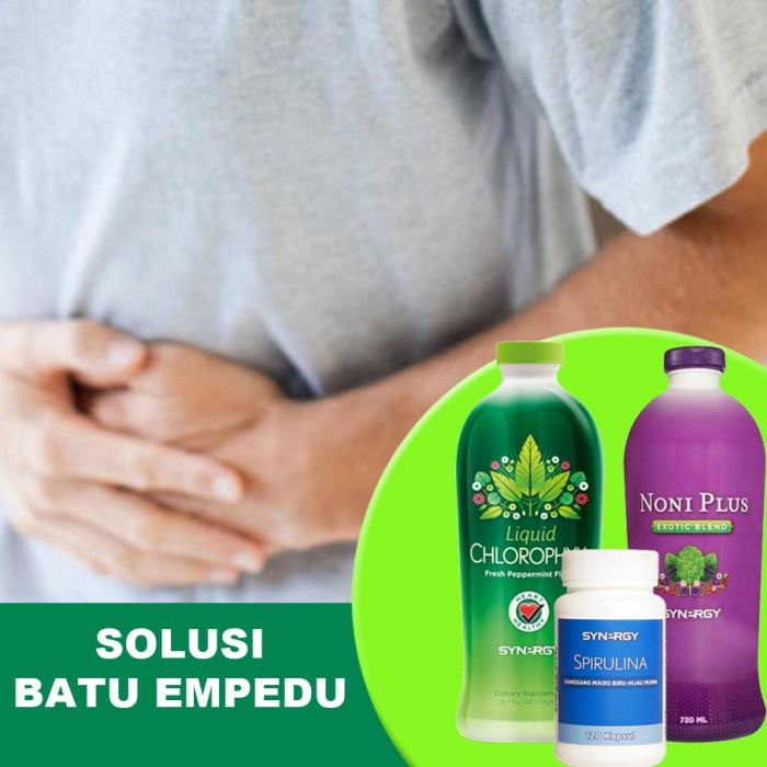 TUBUH-KEKEBALAN-SISTEM- PAKET HERBAL OBATI BATU EMPEDU & MENINGKATKAN KEKEBALAN TUBUH & IMUN