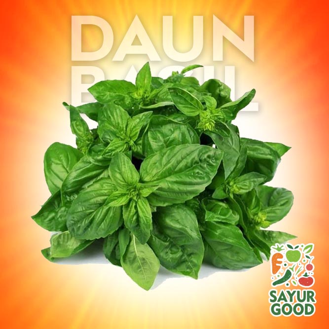 

Daun Basil Segar / Basil / Pack