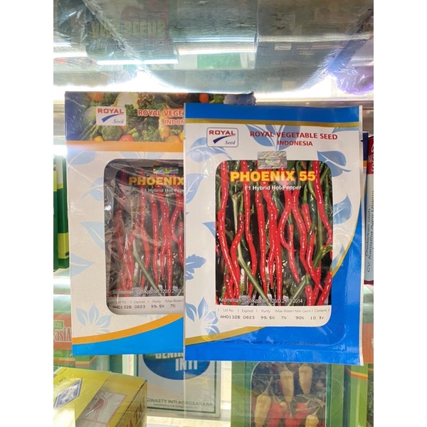 Benih/Bibit Cabai/Cabe Keriting PHOENIX 55
