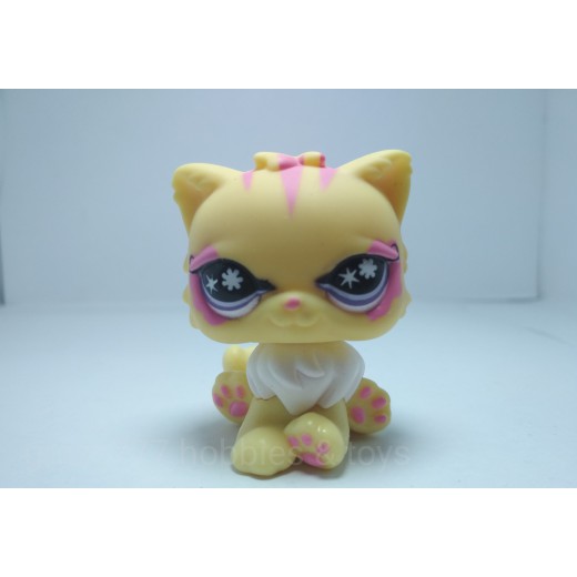 pet shop persian cat