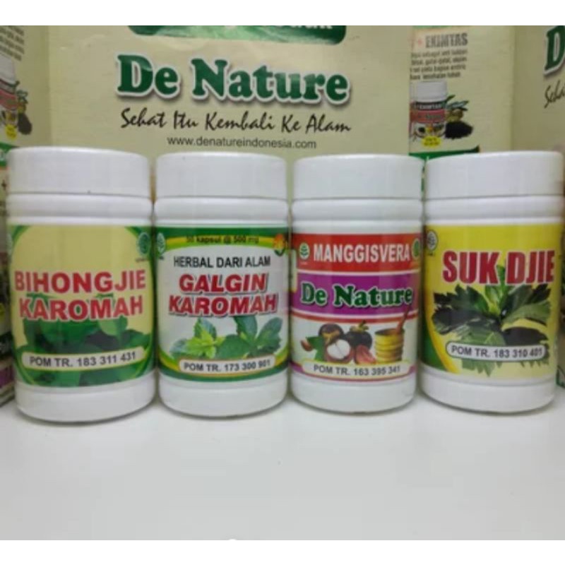 obat gagal ginjal ginjal bocor ampuh de nature