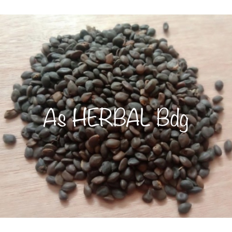 Jual benih biji kaliandra putih super-az