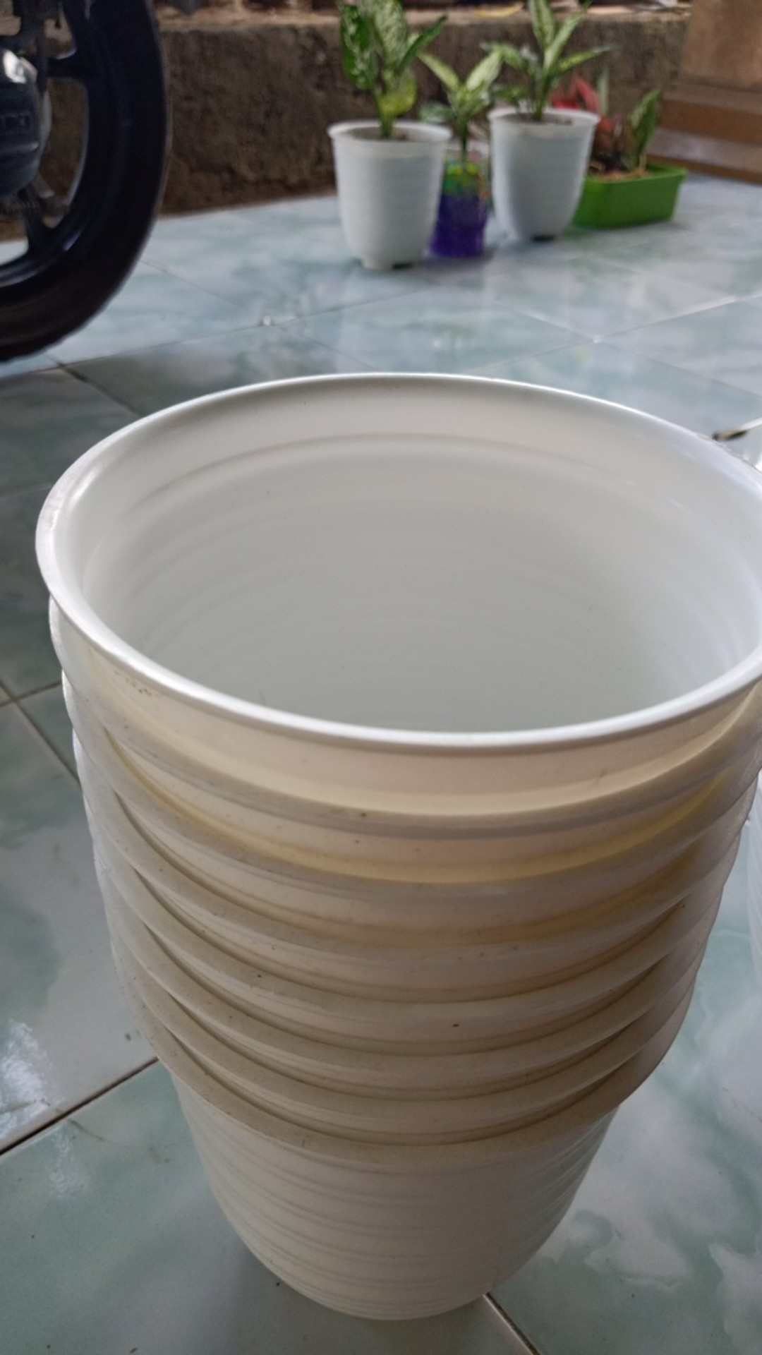 Pot Tirus 18 Pot Pirus My Honey 18 Gbl Putih Glossy