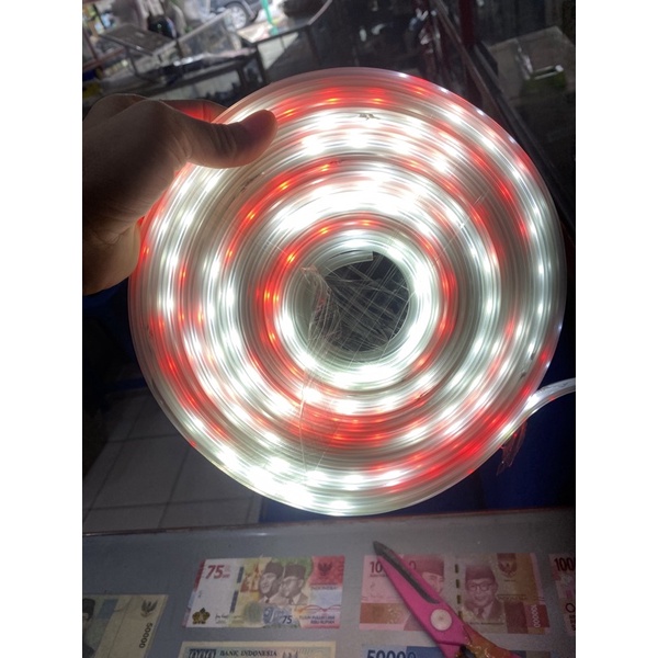lampu strip led merah putih@