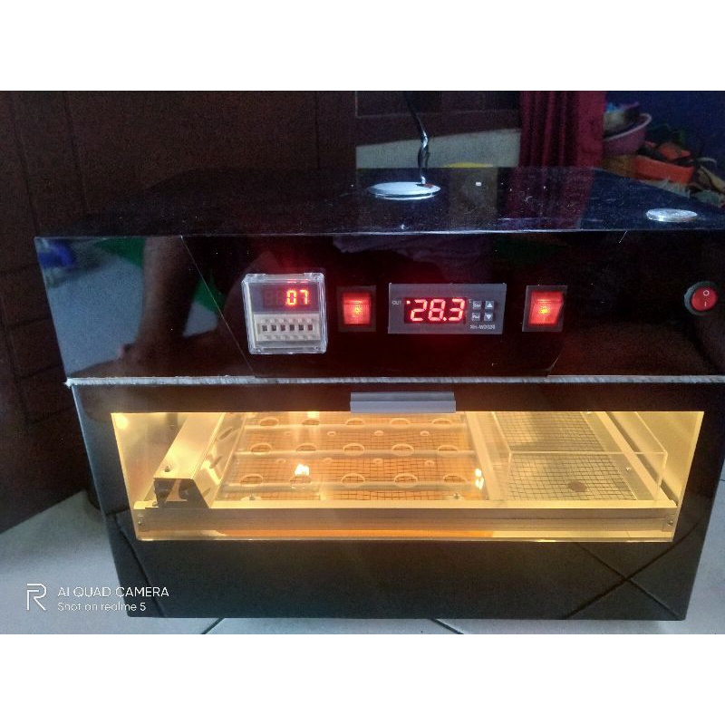 mesin tetas telur burung