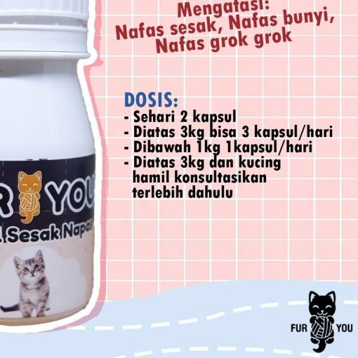 Kapsul Kucing Sesak Nafas