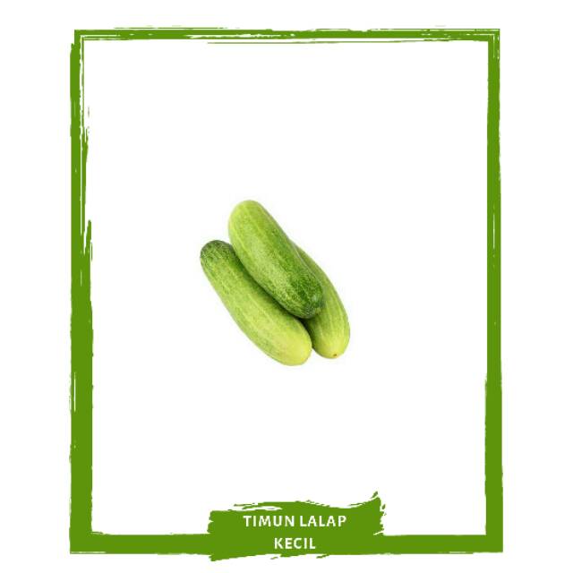 

Timun Lalap Kecil / Sayur Sayuran Segar By Mallahrizwa