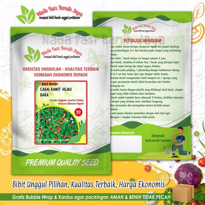 Benih cabe rawit hijau bara