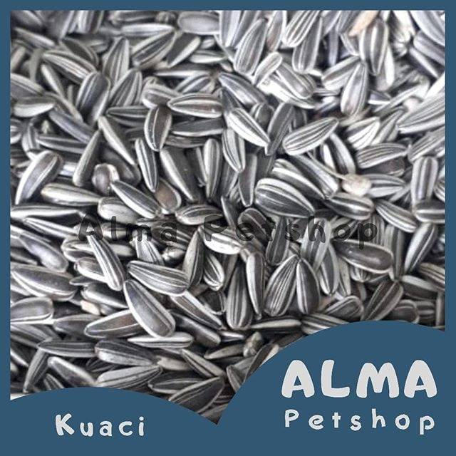 Biji bunga matahari/ kuaci / kwaci untuk hamster 100 gram