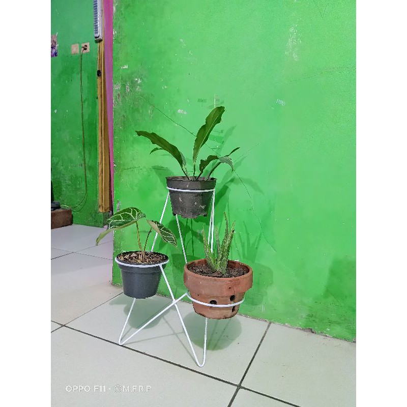 Standing pot bunga besi 3in1 standing pot tanaman hias