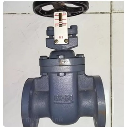 3" inch Gate Valve cast iron 5k