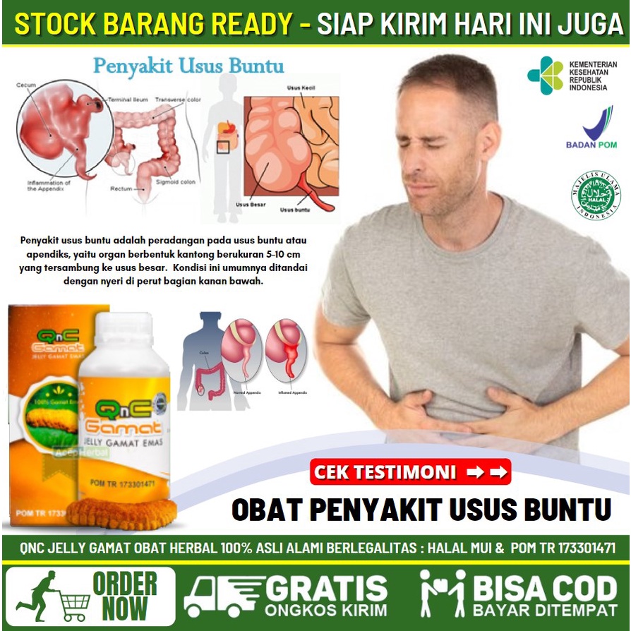 Obat Herbal Sakit Usus Buntu, Obat Radang Usus, Infeksi Luka di Usus, Obat Usus Buntu Akibat Makan P