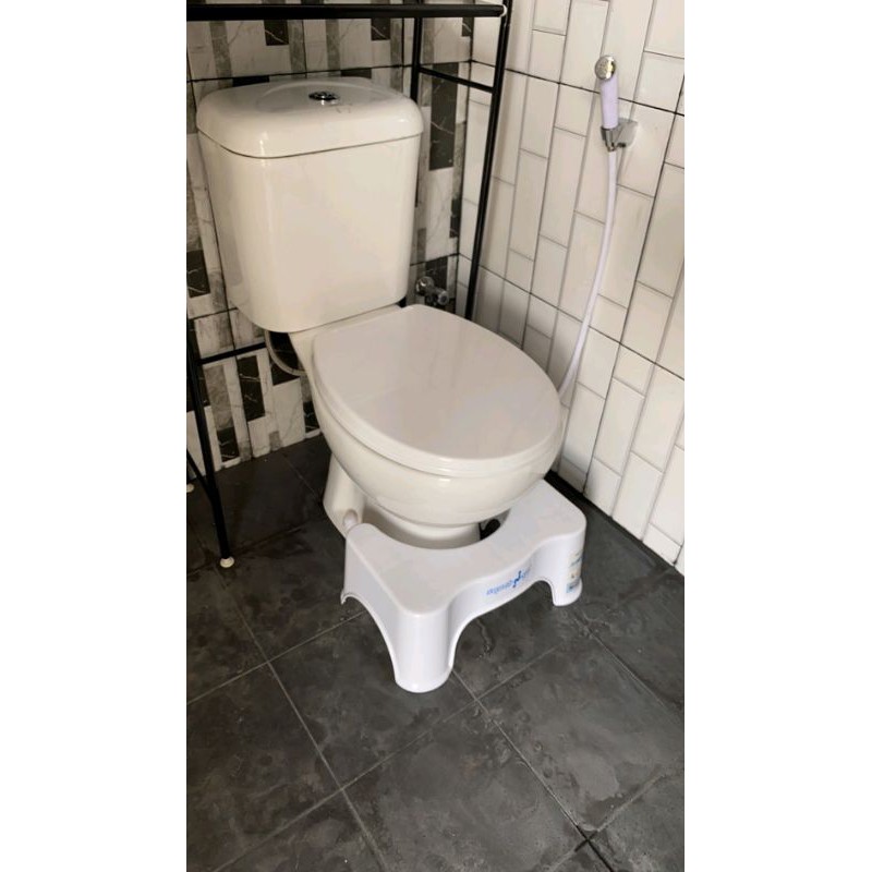 ACE HARDWARE SQUAT N GO PIJAKAN TOILET DUDUK/KURSI TOILET SQUAT N GO/PIJAKAN CLOSED DUDUK/