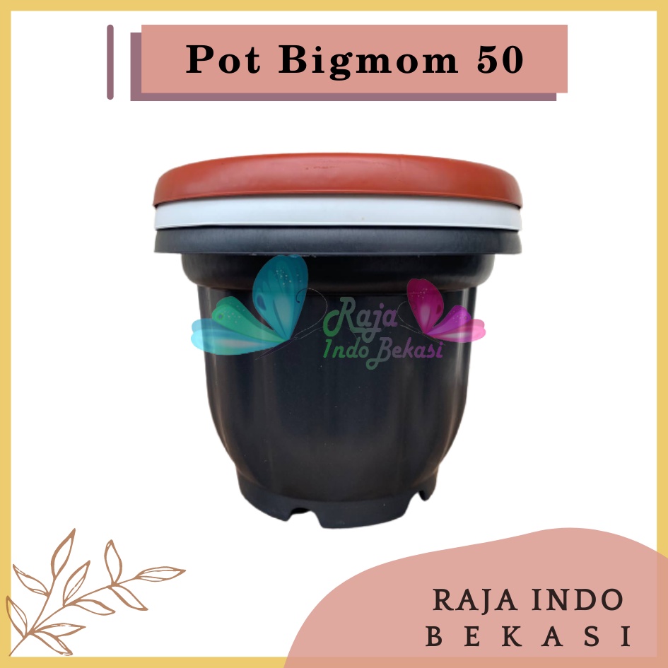 Pot BIGMOM 50 Putih Hitam Merah Bata Merah Coklat Terracota Terracotta  - Pot Besar Jumbo 50cm Pot Besar Plastik Bahan Tebal - Pot Besar Jumbo 100cm 50cm 40cm Putih Tinggi Hitam